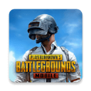 pubg安装包国际服安卓版